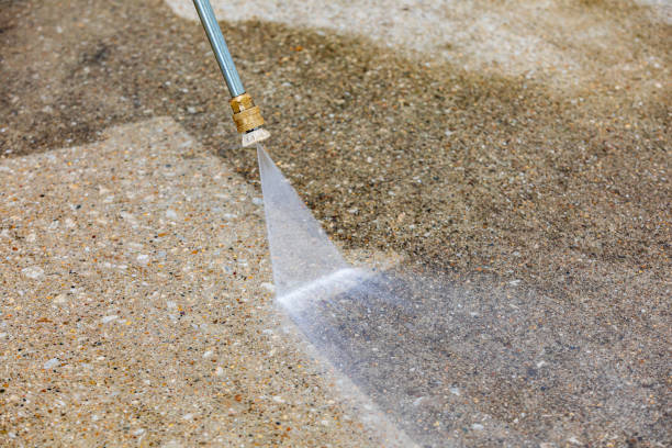 Animal Enclosure Cleaning in Clarkston, WA